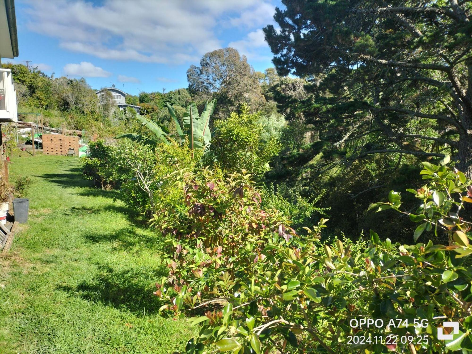 别墅中的一间客房 Auckland Extérieur photo