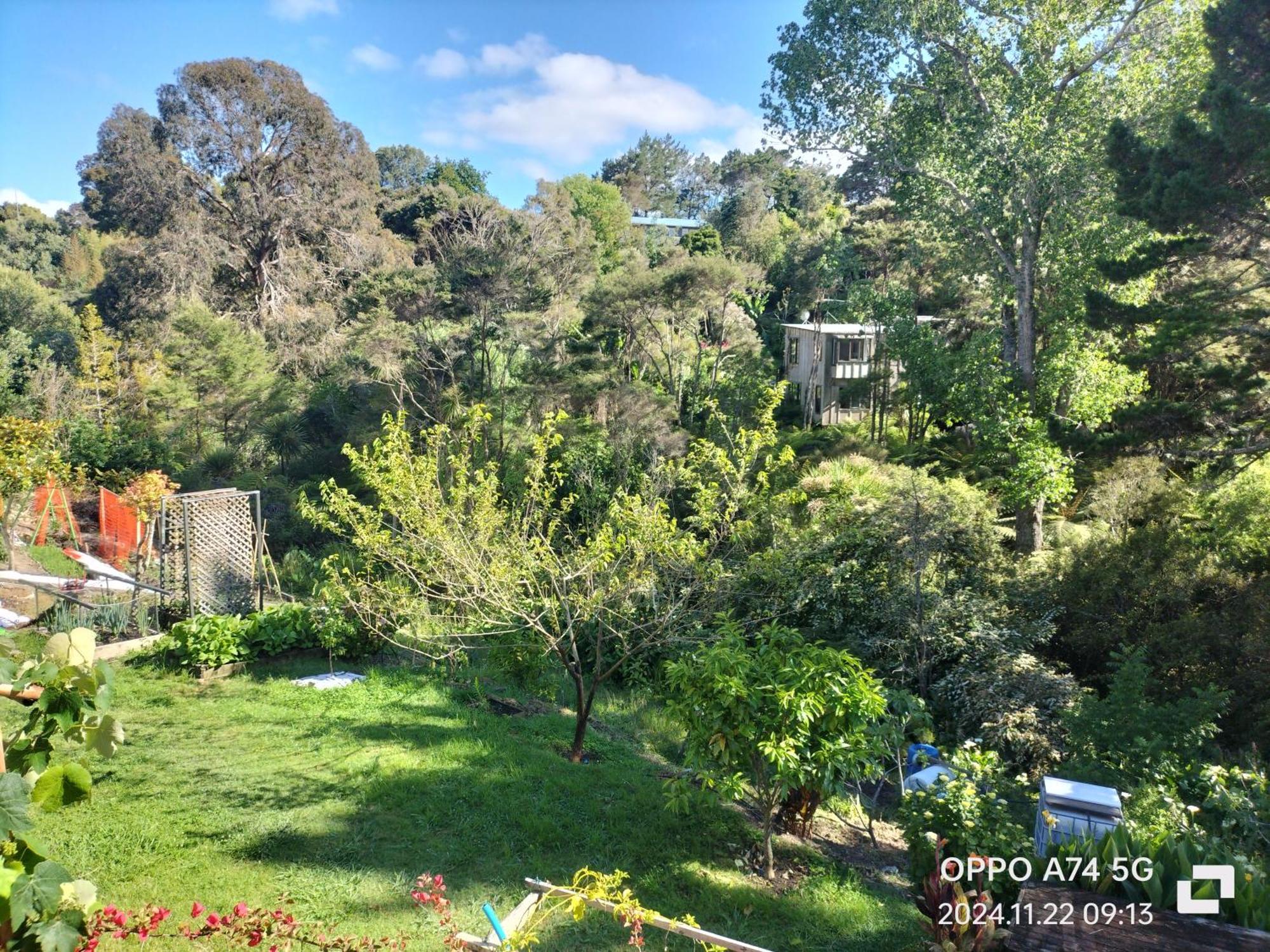 别墅中的一间客房 Auckland Extérieur photo